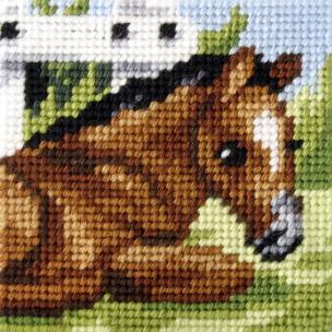 Opakowanie Zestaw do haftu Moje pierwsze wyszywanie Źrebaczek