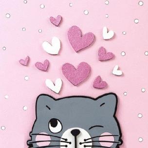 Opakowanie Zestaw kreatywny 3D Kotek 18x18cm