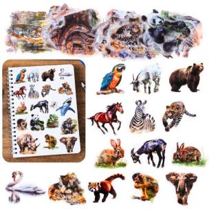 Opakowanie Zestaw naklejek Dzikie zwierzęta 50szt.