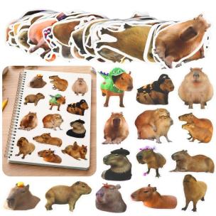 Opakowanie Zestaw naklejek Kapibara 50szt.