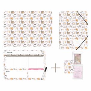 Opakowanie Zestaw szkolny z nadrukiem kittens