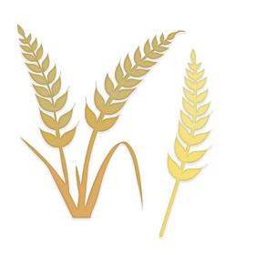 Opakowanie Zestaw wykrojników kłosy pszenicy 2szt