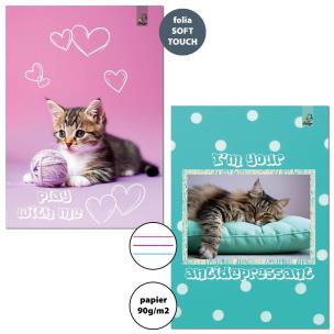 Opakowanie Zeszyt A4/32K 3-linie kolor 90g BF Cats (6szt)