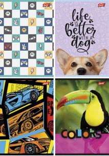 Opakowanie Zeszyt A4/32K linia podwójna dwukolor mix (15szt)