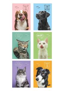 Opakowanie Zeszyt A4/40K kratka Pets (10szt) MAR MAR