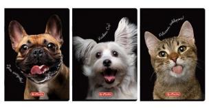 Zeszyt A4/60K kratka z marginesem Animals (5szt). Wydawca: HERLITZ. Multiszop.pl Opakowanie Zeszyt A4/60K kratka z marginesem Animals (5szt)