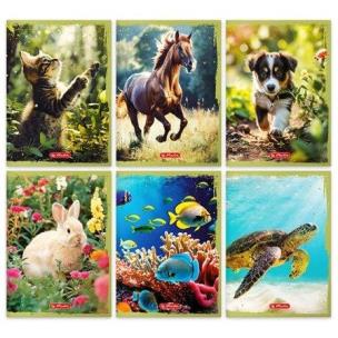 Zeszyt A5/16K linia podwójna Animals (20szt). Wydawca: HERLITZ. Multiszop.pl Opakowanie Zeszyt A5/16K linia podwójna Animals (20szt)