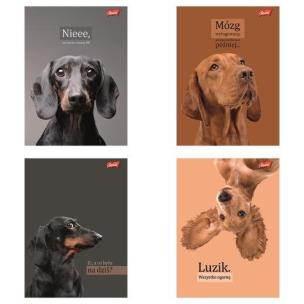 Opakowanie Zeszyt A5/60k kratka Doggy Moods (10szt)