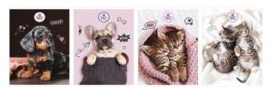 Opakowanie Zeszyt A5/60k kratka The Sweet Pets (5szt)