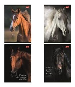 Opakowanie Zeszyt A5/60k kratka Wild Heart (10szt)