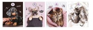 Opakowanie Zeszyt A5/80 kratka The Sweet Pets (5szt)