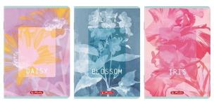 Opakowanie Zeszyt B5/80K kratka Blossom (5szt) HERLITZ