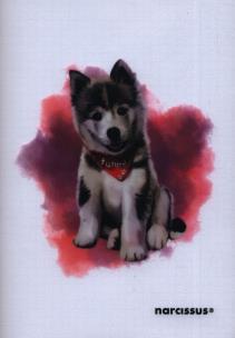 Opakowanie Zeszyt PP JOY A5 w kratkę 60 kartek 80g