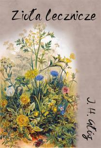 Zioła lecznicze. Botanika okultystyczna, astrologia herbalna, medycyna hermetyczna. Autor: Głóg J.H.. Multiszop.pl Okładka książki Zioła lecznicze. Botanika okultystyczna, astrologia herbalna, medycyna hermetyczna