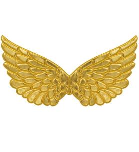 Opakowanie Złote skrzydła