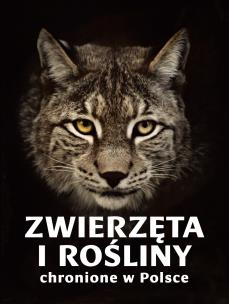 Zwierzęta i rośliny chronione w Polsce. Autor: Izabella Sieńko-Holewa, Weber Sylwia. Multiszop.pl Okładka książki Zwierzęta i rośliny chronione w Polsce