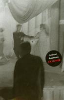 Okładka książki Skyliner