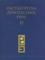 Opakowanie Encyklopedia Powszechna PWN t.17