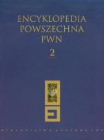 Opakowanie Encyklopedia Powszechna PWN t.2