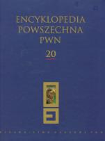 Opakowanie Encyklopedia Powszechna PWN t.20