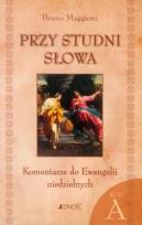 Okładka książki Przy studni słowa Komentarze do Ewangelii niedzielnych