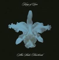 Okładka książki Aha shake heartbreak