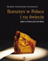 Okładka książki Bursztyn w Polsce i na świecie