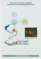 Opakowanie Foliogramy Biologia część 3 Liceum