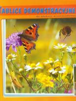 Opakowanie Tablice demonstracyjne do edukacji wczesnoszkolnej