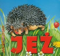Okładka książki Jeż