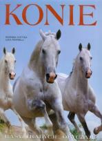 Okładka książki Konie. Rasy, tradycje, obyczaje