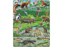 Opakowanie Las nordycki