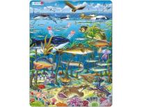 Opakowanie Morze Północne