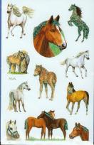 Okładka książki Naklejki na błyszczącym papierze konie