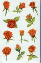 Okładka książki Naklejki z kwiatami róża