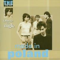 Okładka książki Obraz we mgle