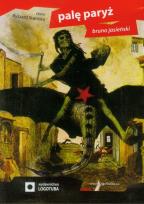 Okładka książki Palę Paryż - Audiobook