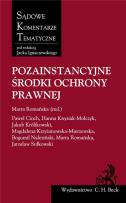 Okładka książki Pozainstancyjne środki ochrony prawnej