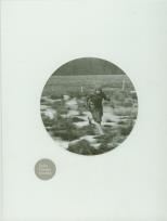 Opakowanie Zofia Chomętowska Polesie