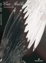 Okładka książki Cień Anioła