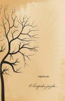 Okładka książki O kropelce jazda