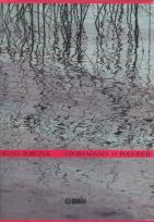 Okładka książki Opowiadania o pogodzie