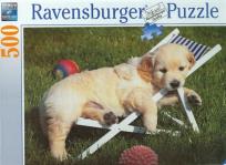 Okładka książki Puzzle 500 Wypoczynek wśród zieleni