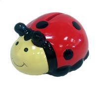 Okładka książki Skarbonka biedronka