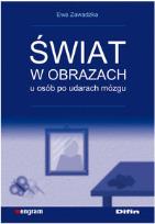 Okładka książki Świat w obrazach u osób po udarach mózgu DIFIN