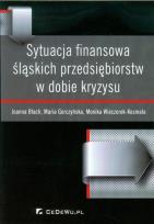 Okładka książki Sytuacja finansowa śląskich przedsiębiorstw w dobie kryzysu