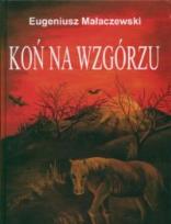 Okładka książki Koń na wzgórzu, The Horse on the Hill