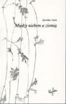 Okładka książki Między niebiem a ziemią