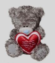 Okładka książki Miś Girlfriend