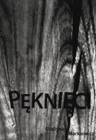 Okładka książki Pęknięci